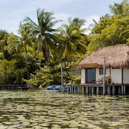 Lagoon Front Hut: Daily Cleaning, Bikes & Kayaks! Bacalar Εξωτερικό φωτογραφία